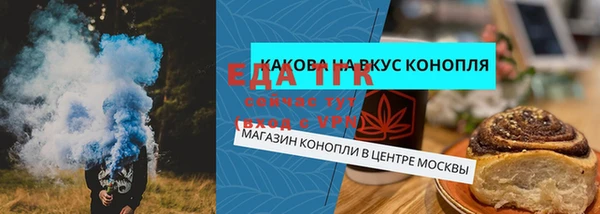 прущие грибы Алапаевск