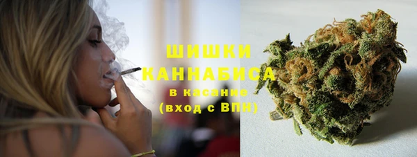 ГАЛЛЮЦИНОГЕННЫЕ ГРИБЫ Алагир