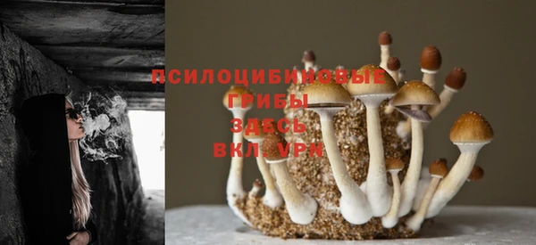 дмт Аксай