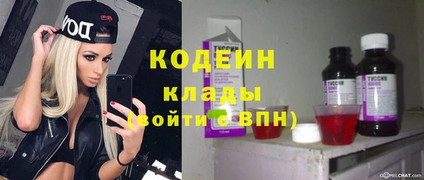 прущие грибы Алапаевск