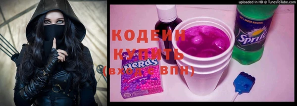 прущие грибы Алапаевск