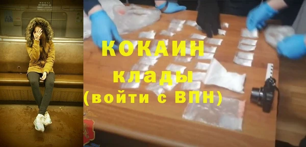 прущие грибы Алапаевск