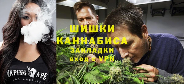 прущие грибы Алапаевск