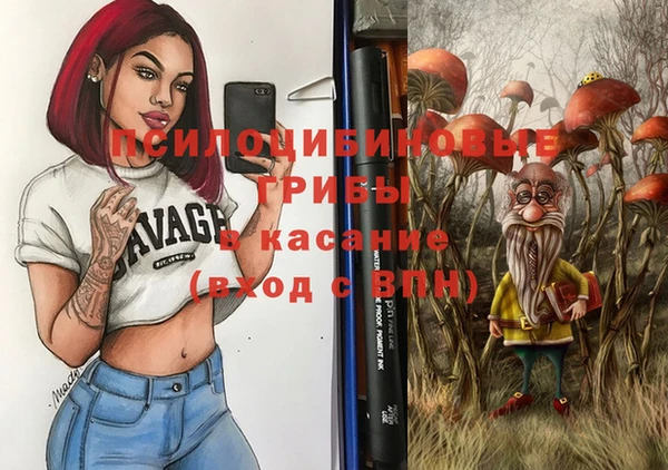 ГАЛЛЮЦИНОГЕННЫЕ ГРИБЫ Алагир