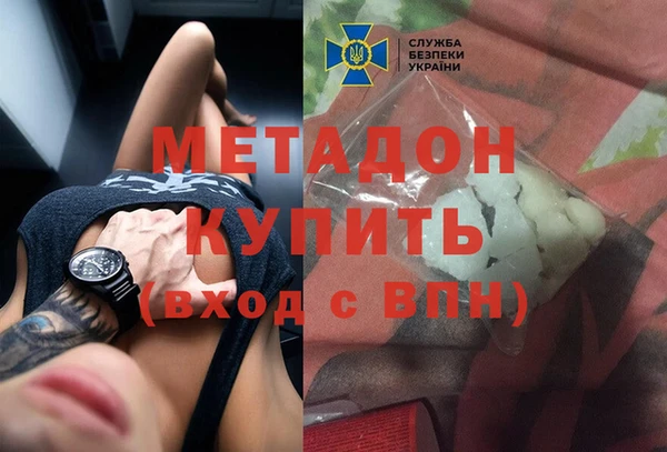 прущие грибы Алапаевск