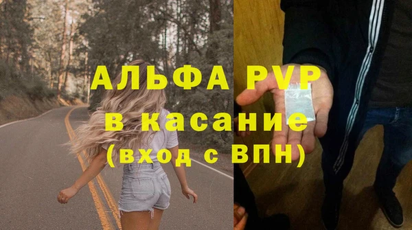 прущие грибы Алапаевск