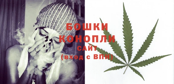ГАЛЛЮЦИНОГЕННЫЕ ГРИБЫ Алагир