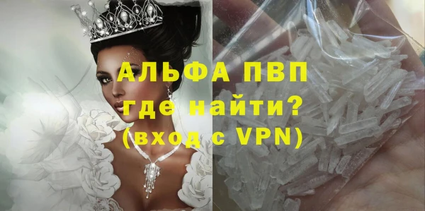 прущие грибы Алапаевск
