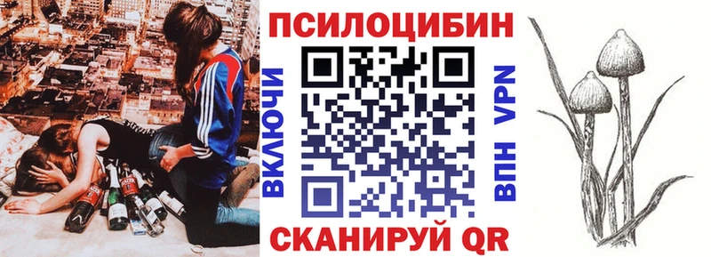 ссылка на мегу маркетплейс сколько стоит Болохово Псилоцибиновые грибы Psilocybe